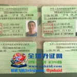 中国驾照样本