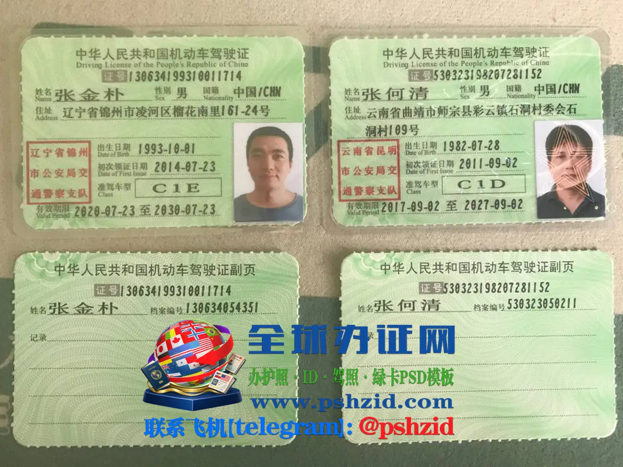 中国驾照样本