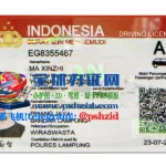 印尼驾照样本Indonesia driving license