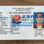 印尼身份证样本Indonesian ID card