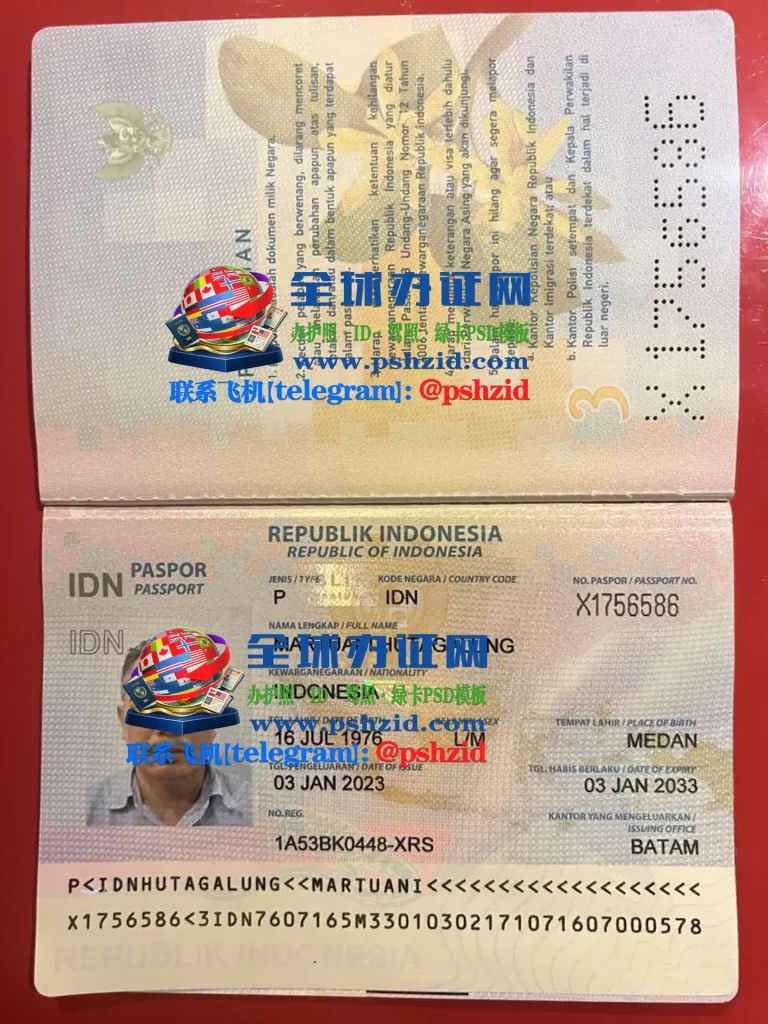 Indonesian-passport-processing