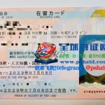 日本2026年新版在留卡样本