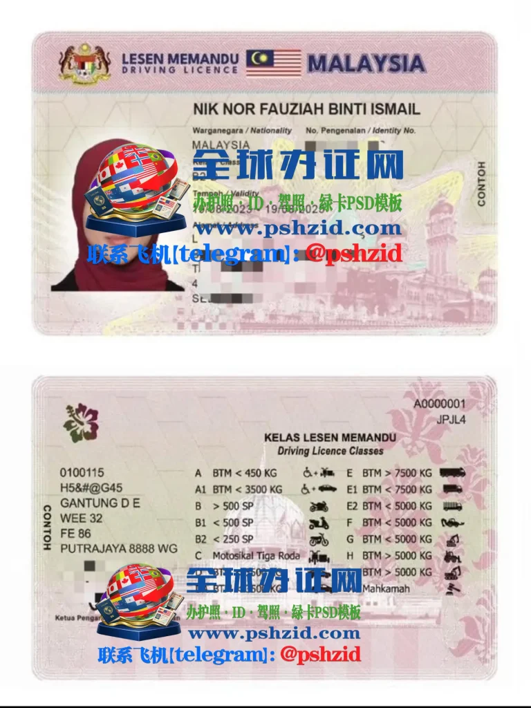 马来西亚新版驾照样本
