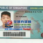 新加坡驾照样本Singapore driving license