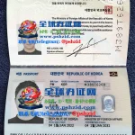 办理韩国移民护照流程South Korean passport