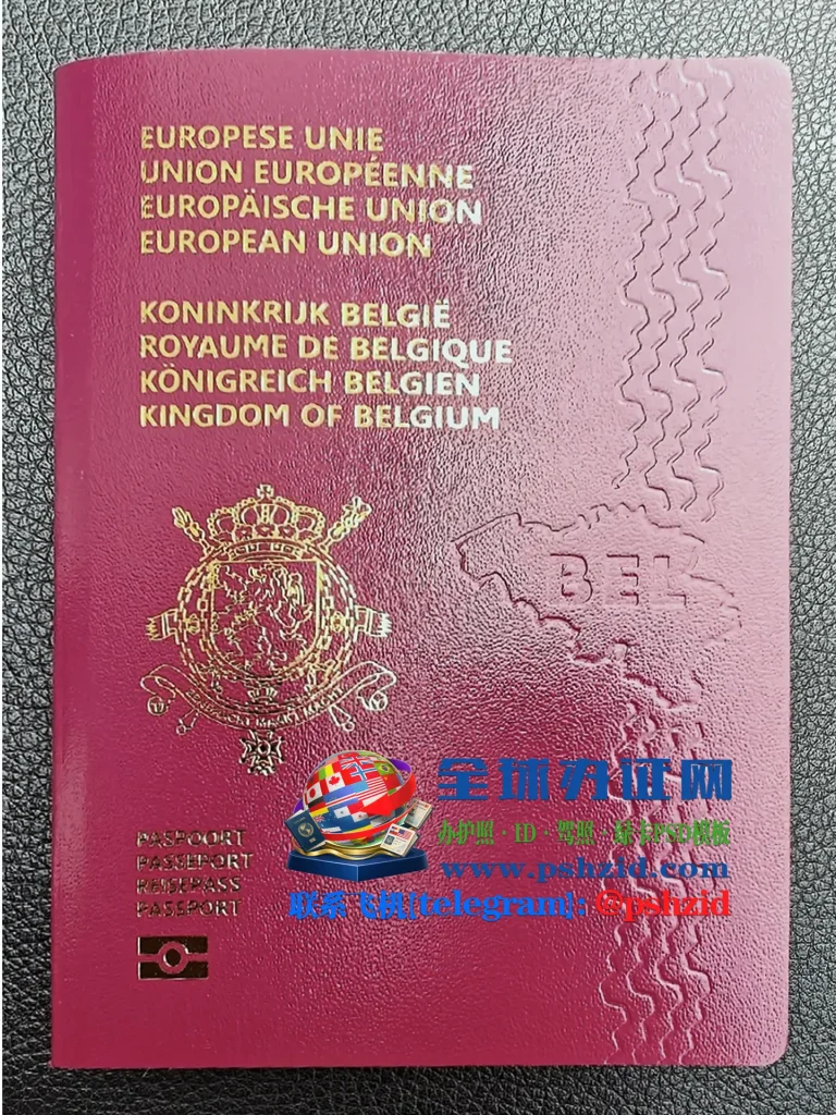 比利时护照办理Applying for a Belgian Passport