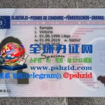 比利时驾照Belgian driver's license