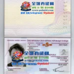 入籍捷克护照办理Obtaining Czech Citizenship and Passport