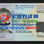 荷兰身份证样本Dutch ID card