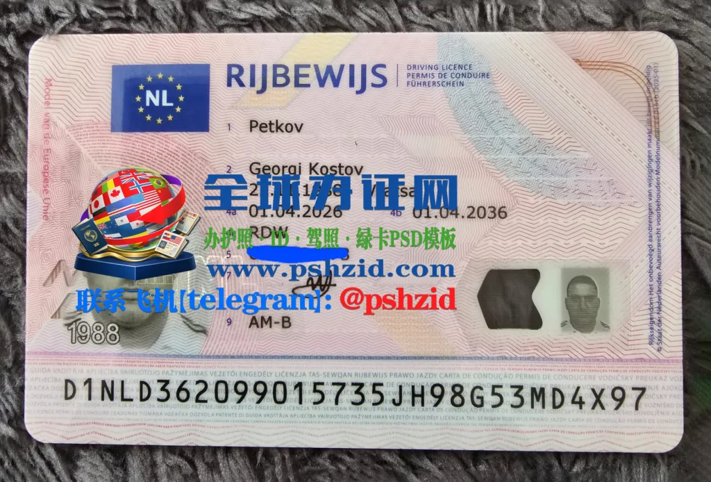 荷兰驾照样本Dutch driver's license
