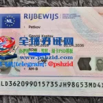 荷兰驾照样本Dutch driver's license