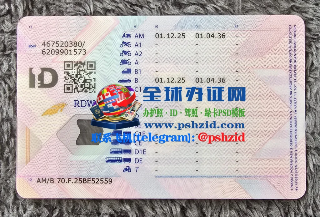 荷兰驾照办理Dutch driver's license processing