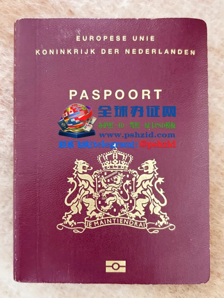 荷兰申请护照办理Dutch passport application