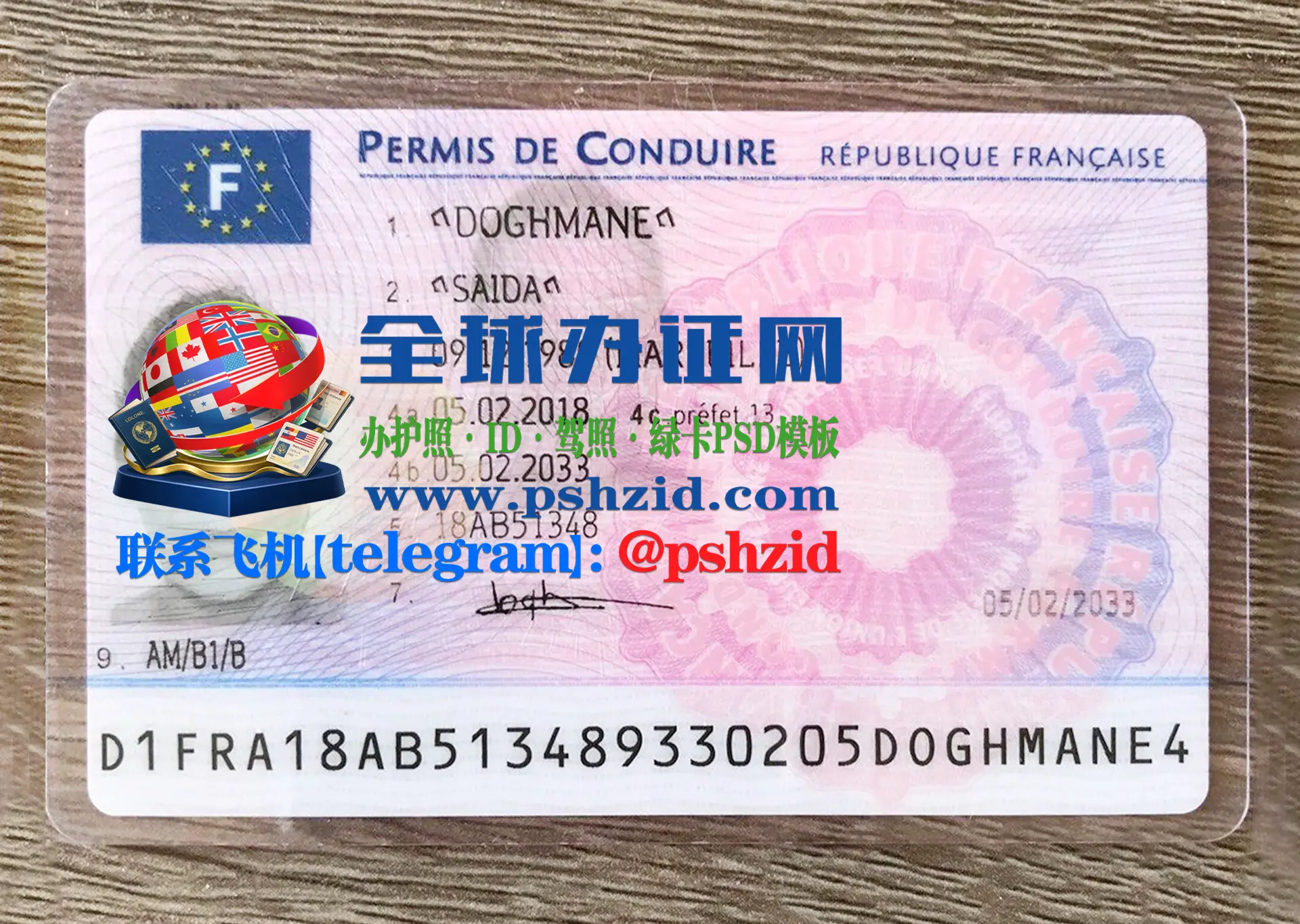 法国驾照样本French driver's license