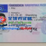 德国驾照样本German driver's license
