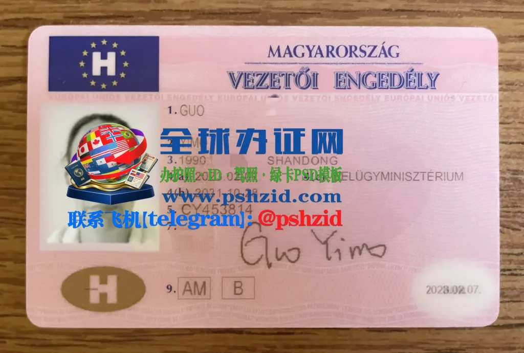 匈牙利驾照Hungarian driver's license