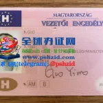 匈牙利驾照Hungarian driver's license