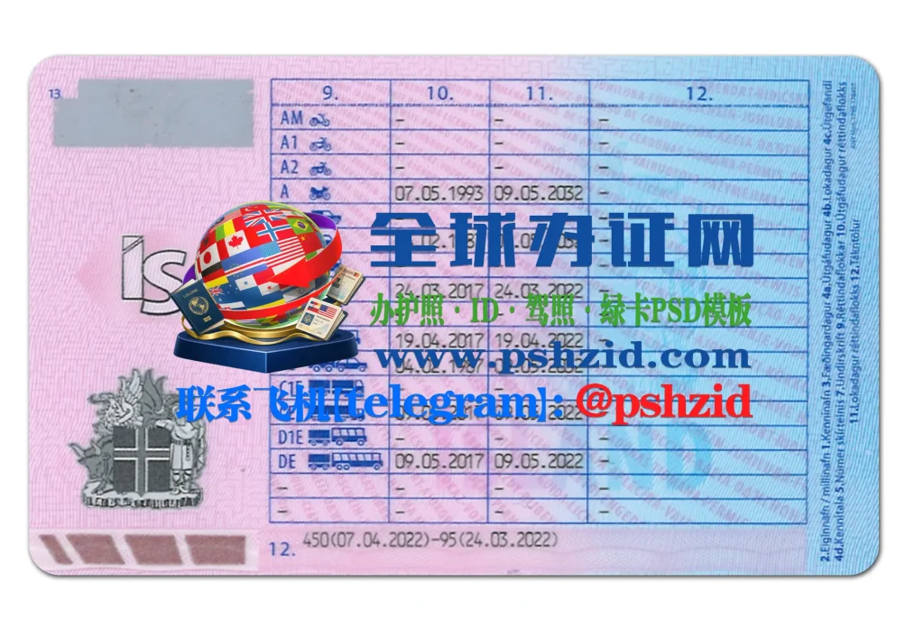 冰岛驾照样本Icelandic driver's license