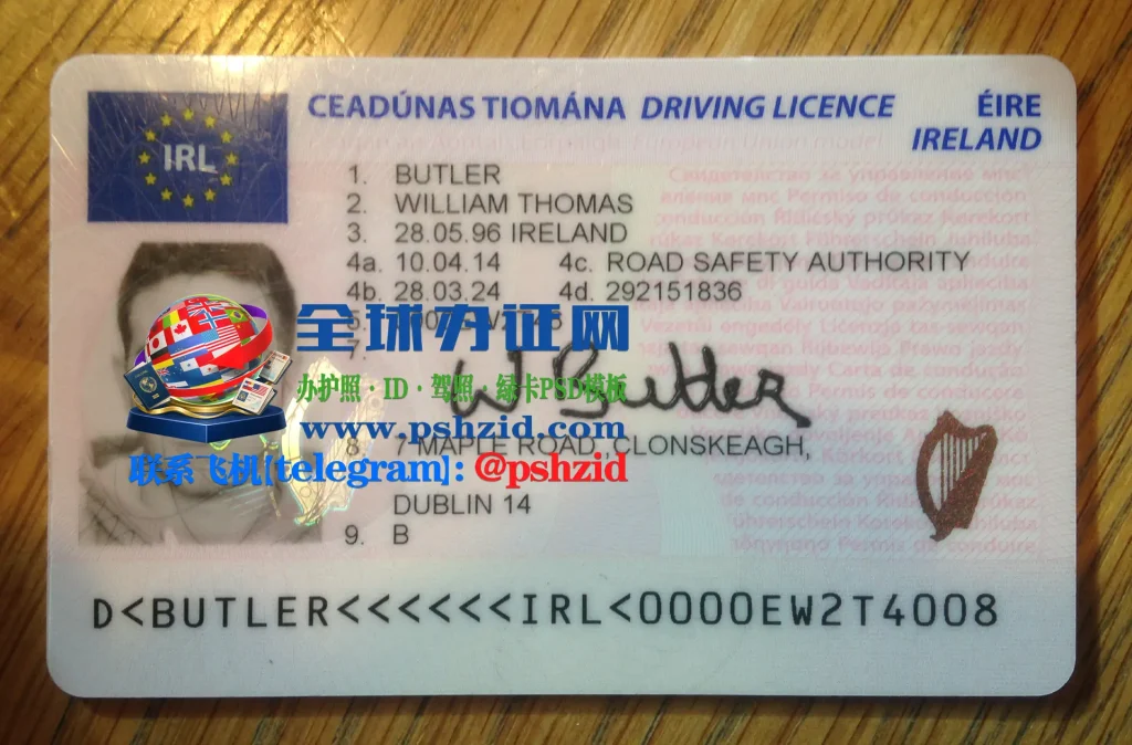 爱尔兰驾照样本Irish driving licence