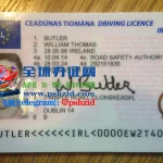 爱尔兰驾照样本Irish driving licence