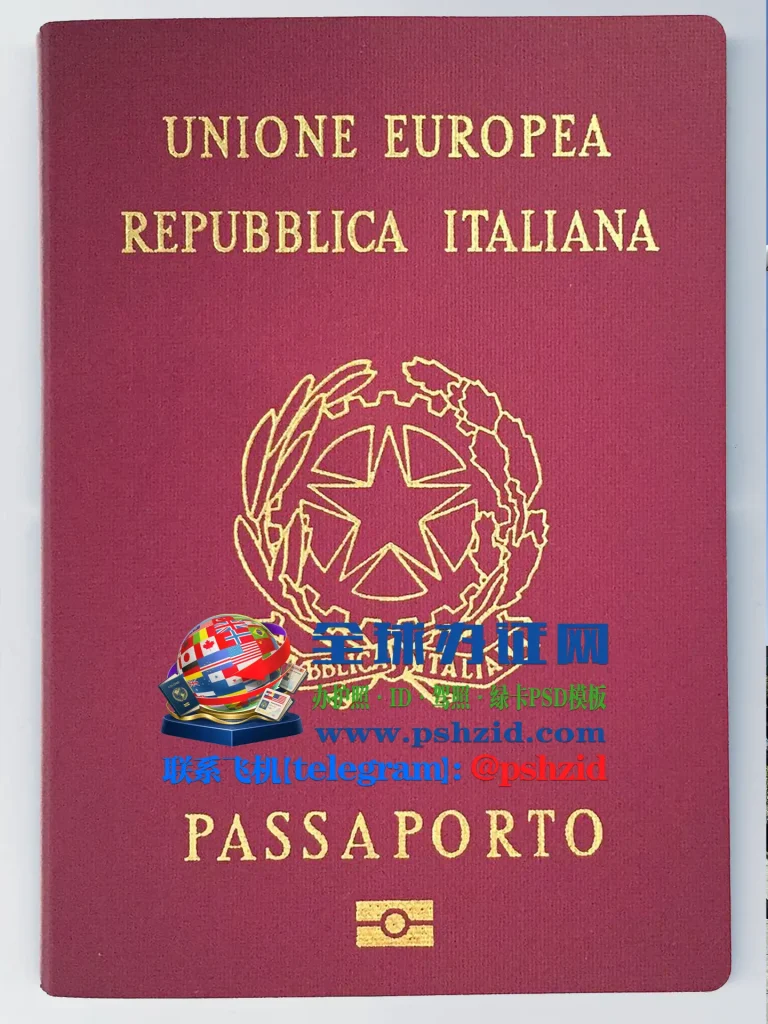 意大利护照办理Italian-Passport-Application