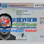 列支敦士登居留证样本Liechtenstein Residence Permit