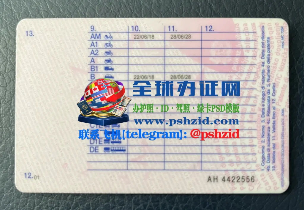 意大利驾照办理Obtaining an Italian Driver's License