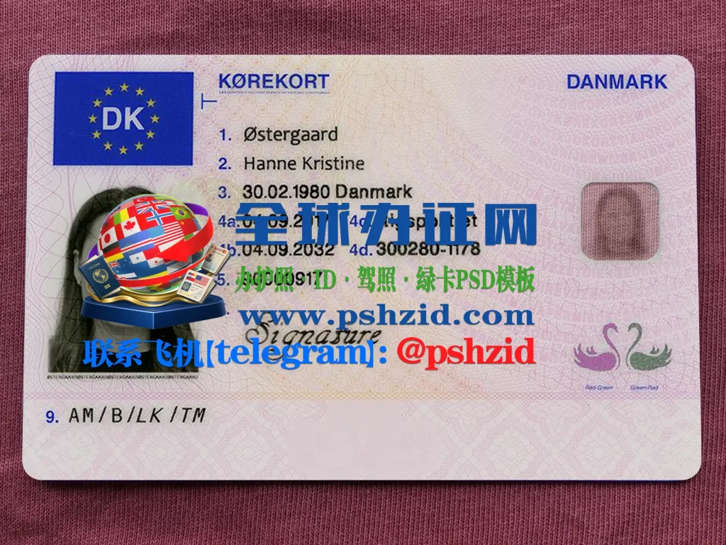 丹麦驾照样本Danish driver's license