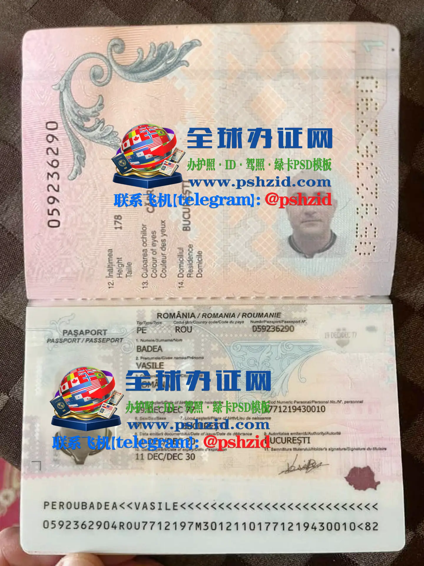 罗马尼亚护照Romanian passport