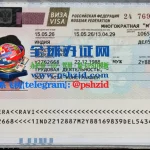 俄罗斯签证样本Russian Visa