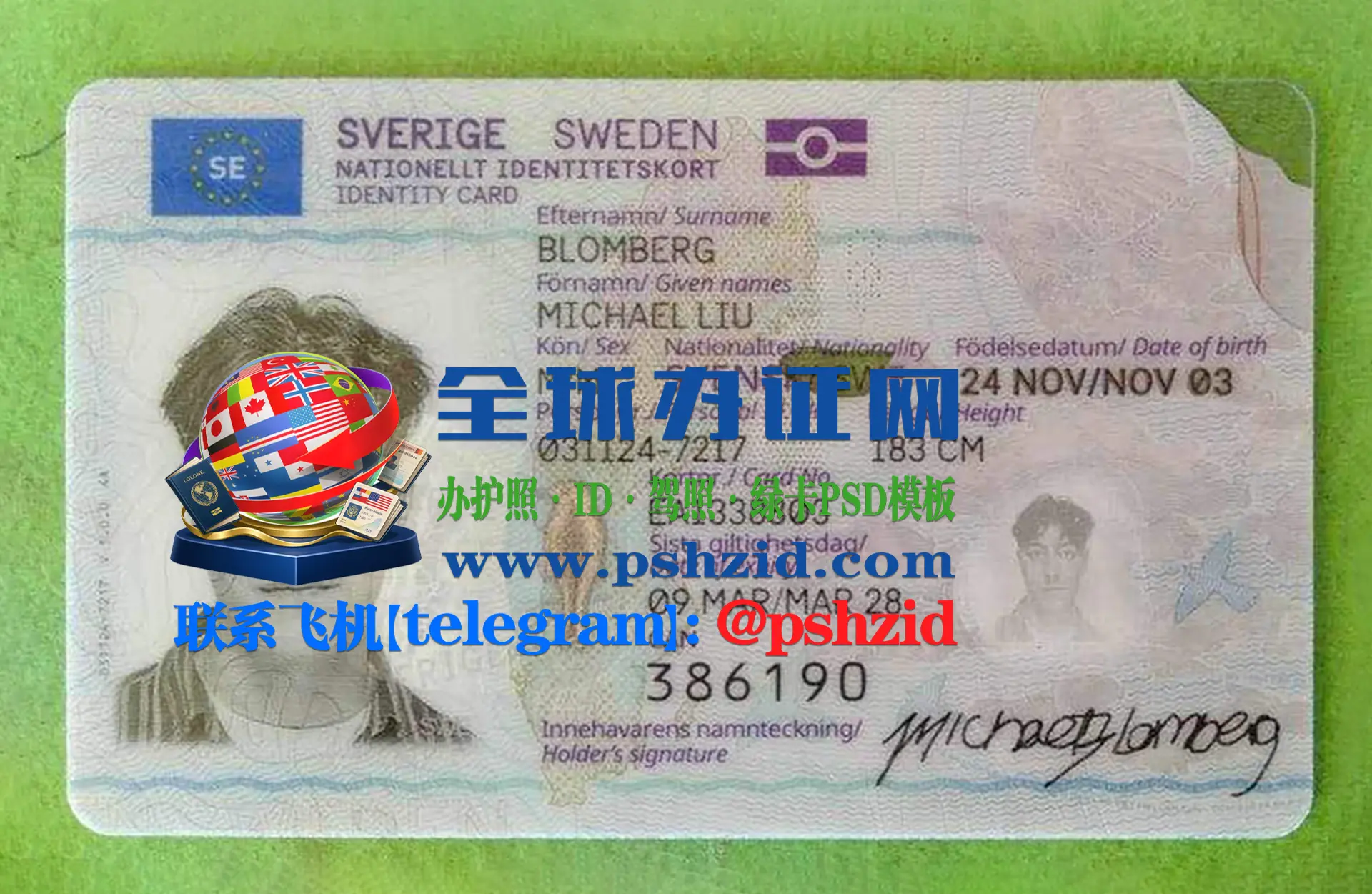 瑞典身份证样本Swedish ID card