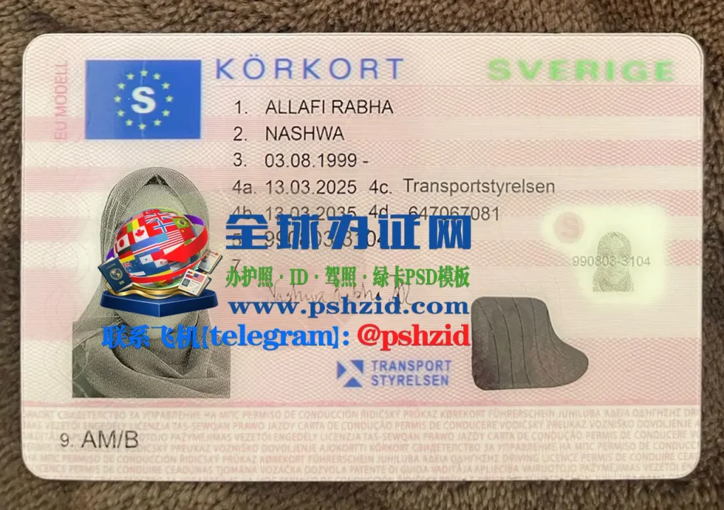 瑞典驾照样本Swedish driver's license