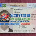 瑞士居留证样本Swiss Residence Permit