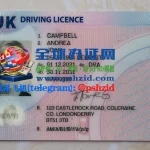 英国驾照样本UK-driving-licence