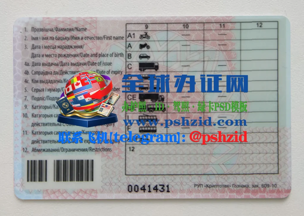 白俄罗斯驾照样本Беларускія вадзіцельскія правы
