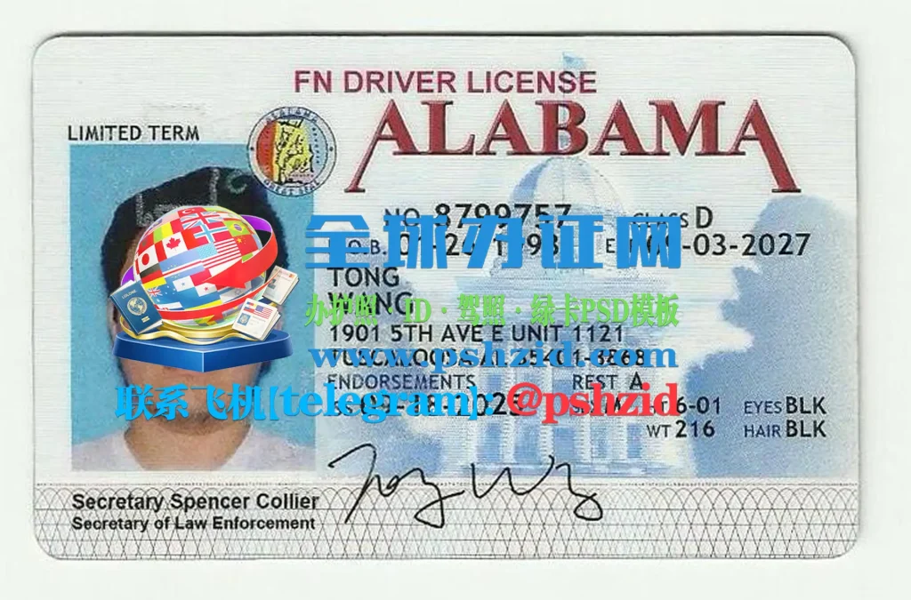 美国阿拉巴马州驾照样本Alabama driver's license