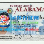美国阿拉巴马州驾照样本Alabama driver's license