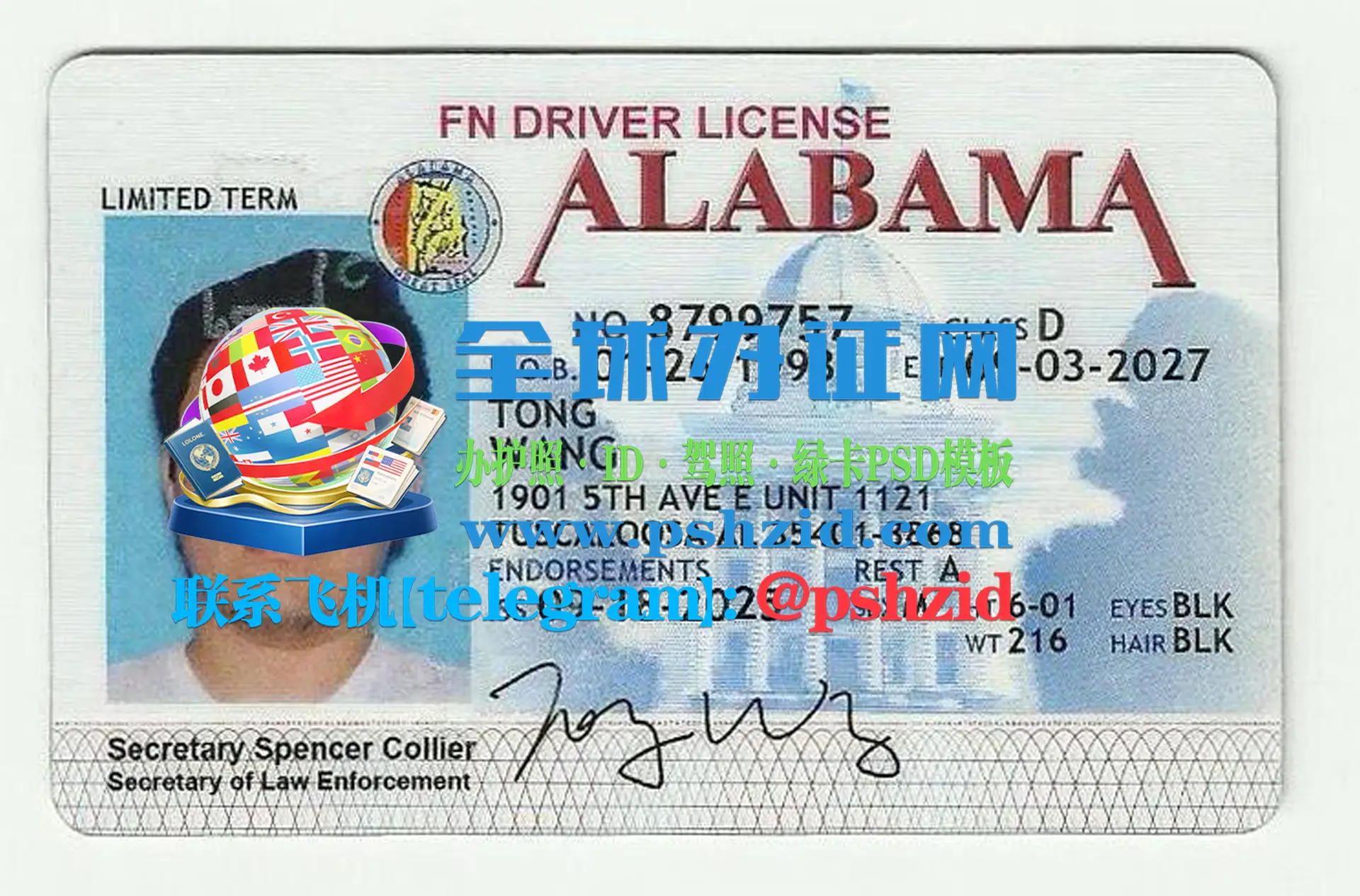 美国阿拉巴马州驾照样本Alabama driver's license
