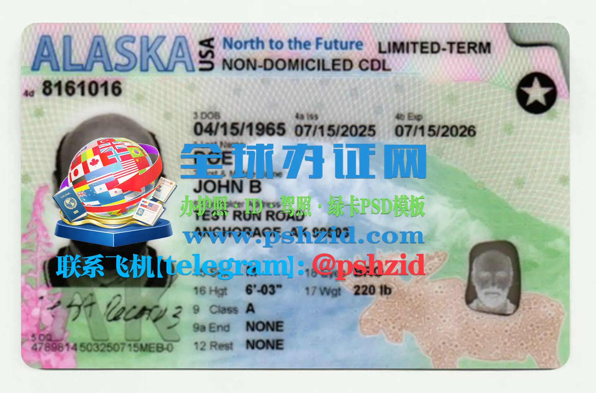 阿拉斯加州驾照样本Alaska driver's license