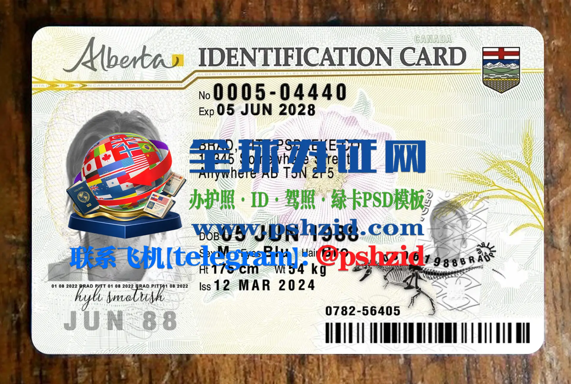 阿尔伯塔省身份证样本Alberta identification card