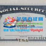 美国社安卡(SSN)American Social Security Card