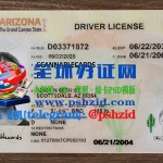亚利桑那州驾照样本Arizona driver's license