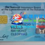 巴哈马国民身份证办理流程,巴哈马国民身份证作用与用途