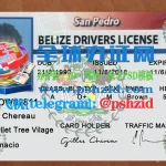 伯利兹驾照样本Belize driver's license