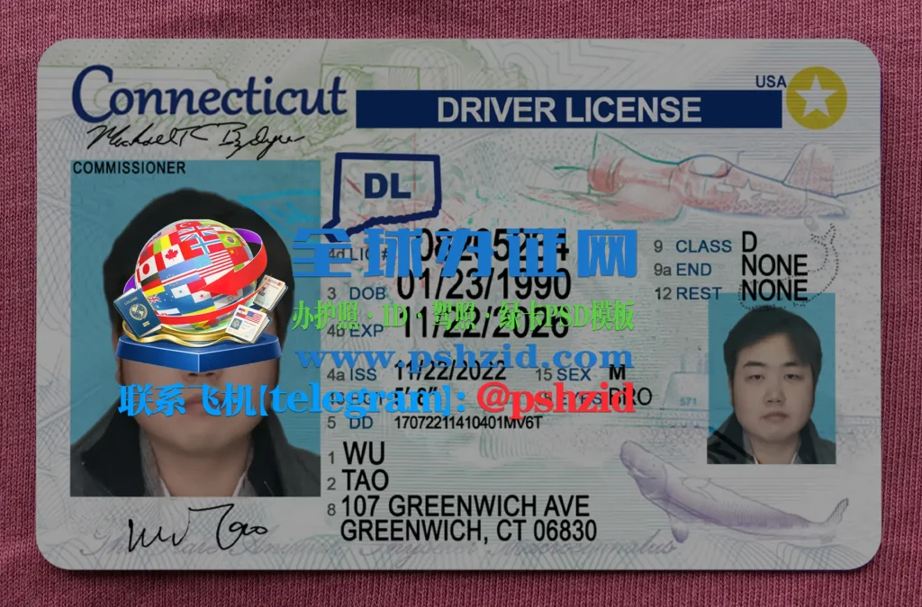 康涅狄格州驾照样本Connecticut driver's license