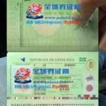 哥斯达黎加护照入籍办理条件与流程,哥斯达黎加护照核心优势