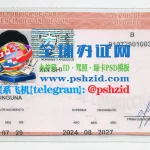 古巴驾照样本Cuban driver's license