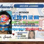 美国特拉华州驾照样本Delaware driver's license