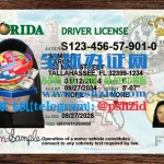 美国佛罗里达州驾照样本Florida driver's license