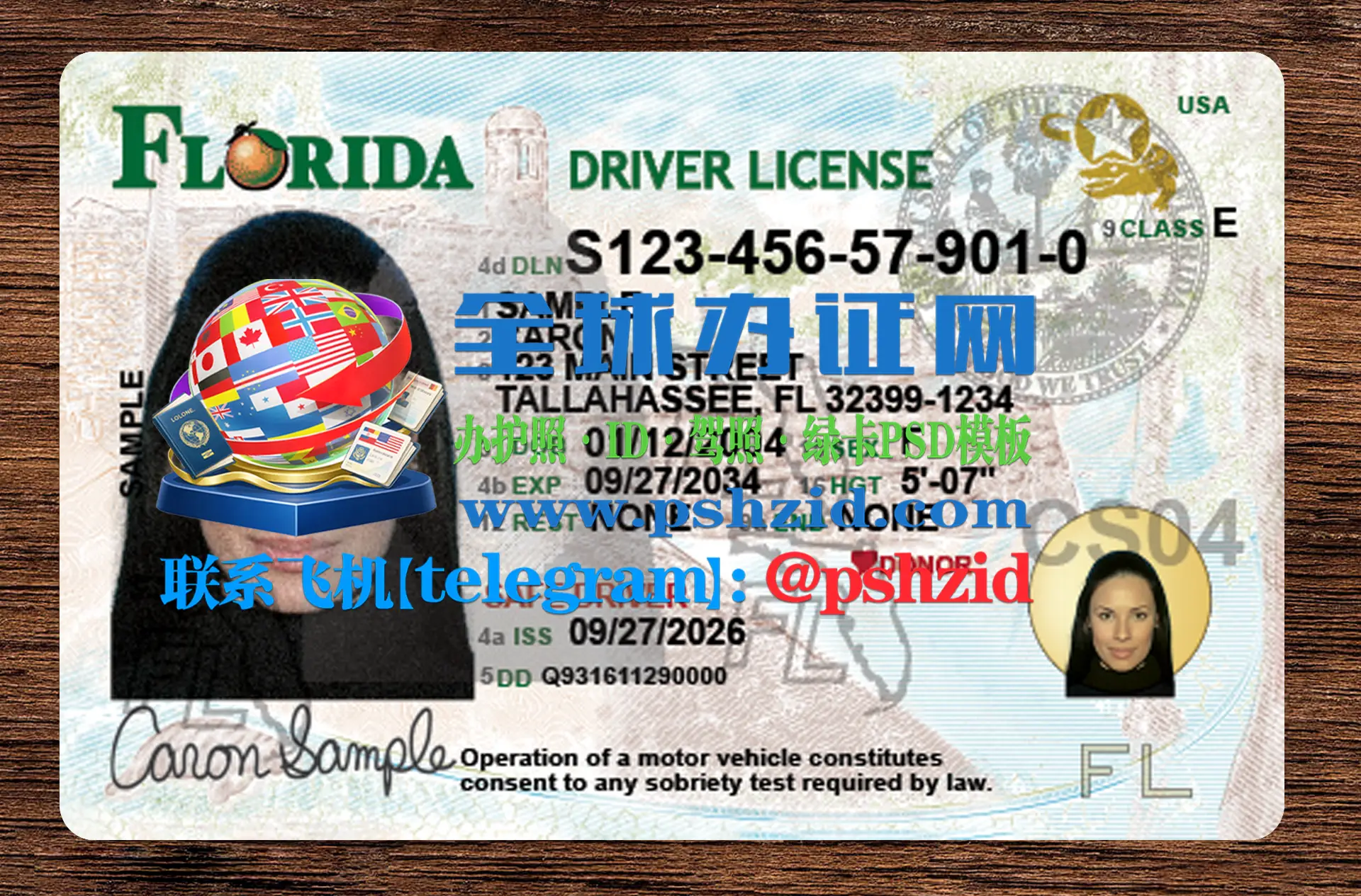 美国佛罗里达州驾照样本Florida driver's license
